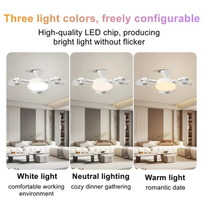 Smart Screw-In Ceiling Fan Light